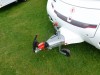 Used Coachman Amara 580 2013 touring caravan Image